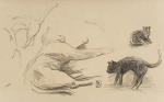 Etude des Chats (2)