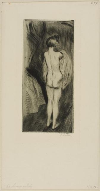 Femme Debout (1902) (C 77) (2nd state) (Collection of the Art Institute of Chicago)