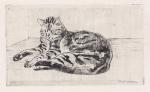 Chat Sur Le Plancher (1902) (C 88) (1st state)